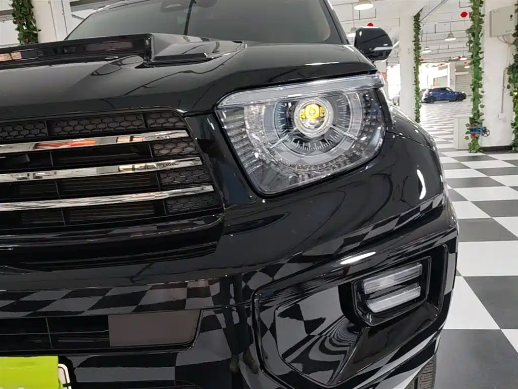 Tank 700 New Energy 2024 Hi4-T Ultimate Edition фото 24