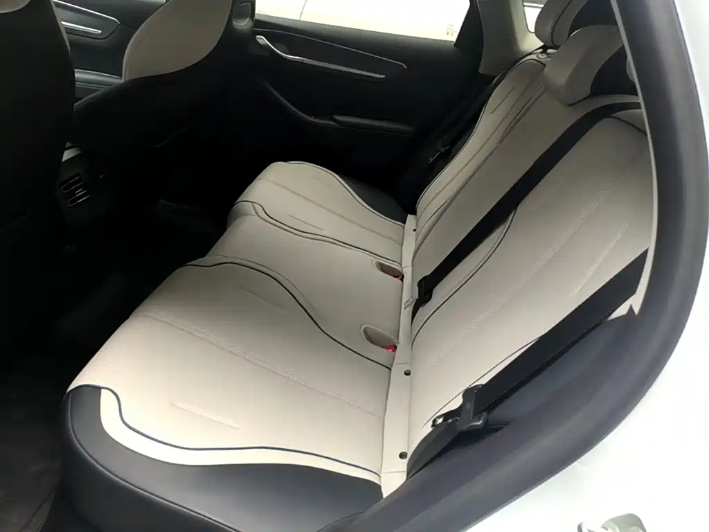 BYD Destroyer 05 2024 Glory Edition DM-i 55KM Luxury фото 17