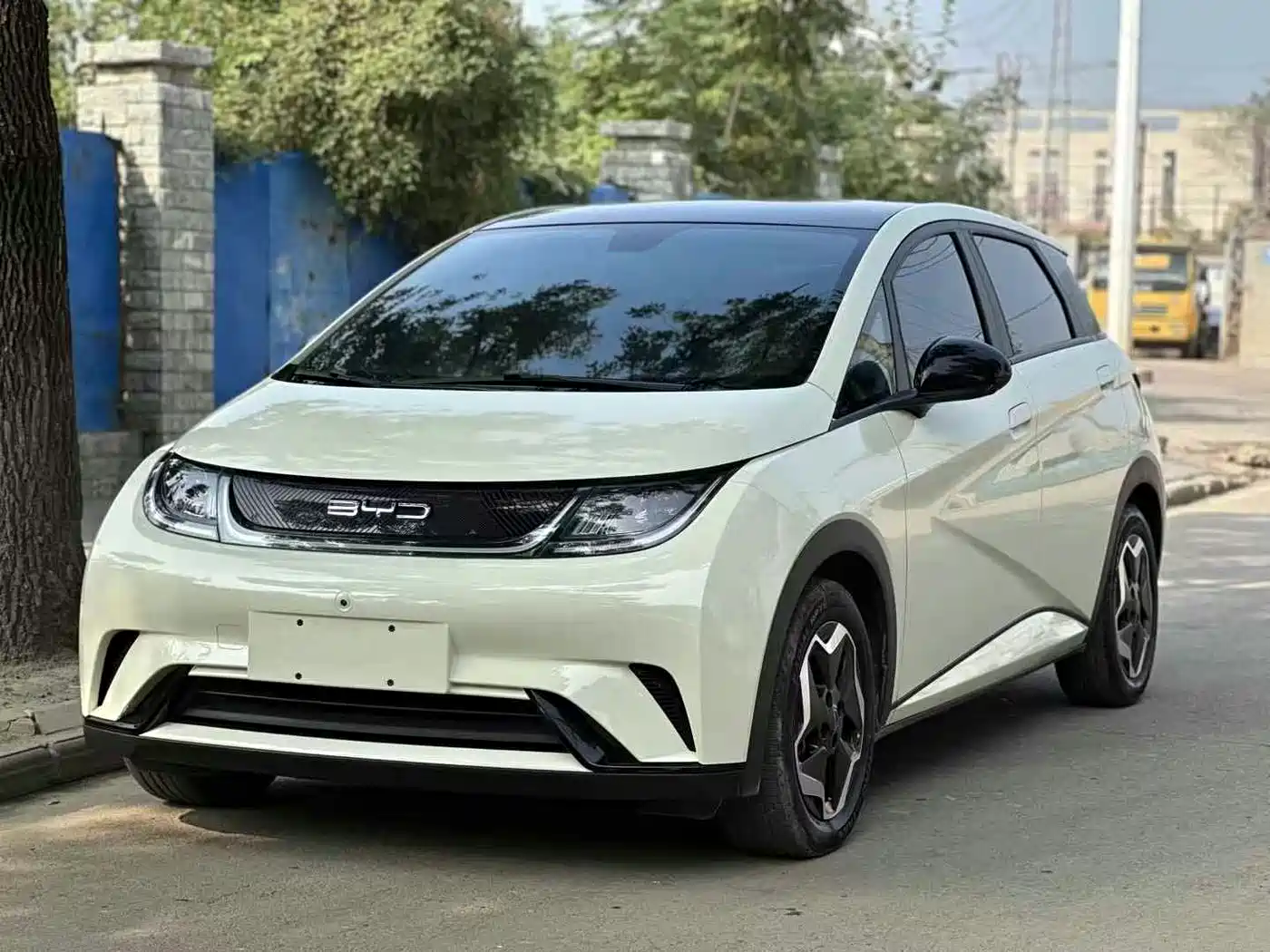 BYD Dolphin 2021