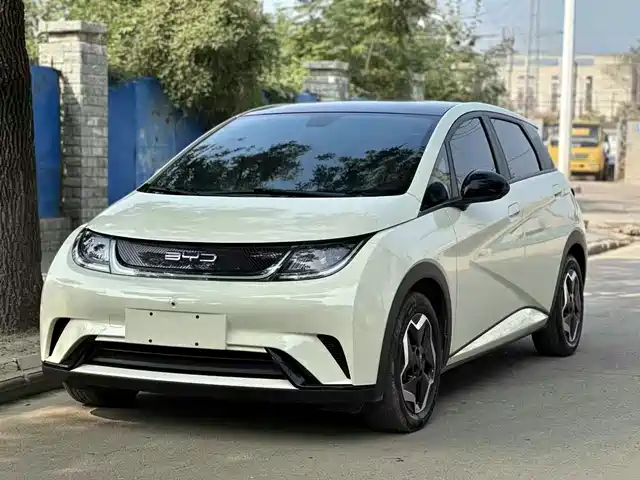 BYD Dolphin 405km, Стиль