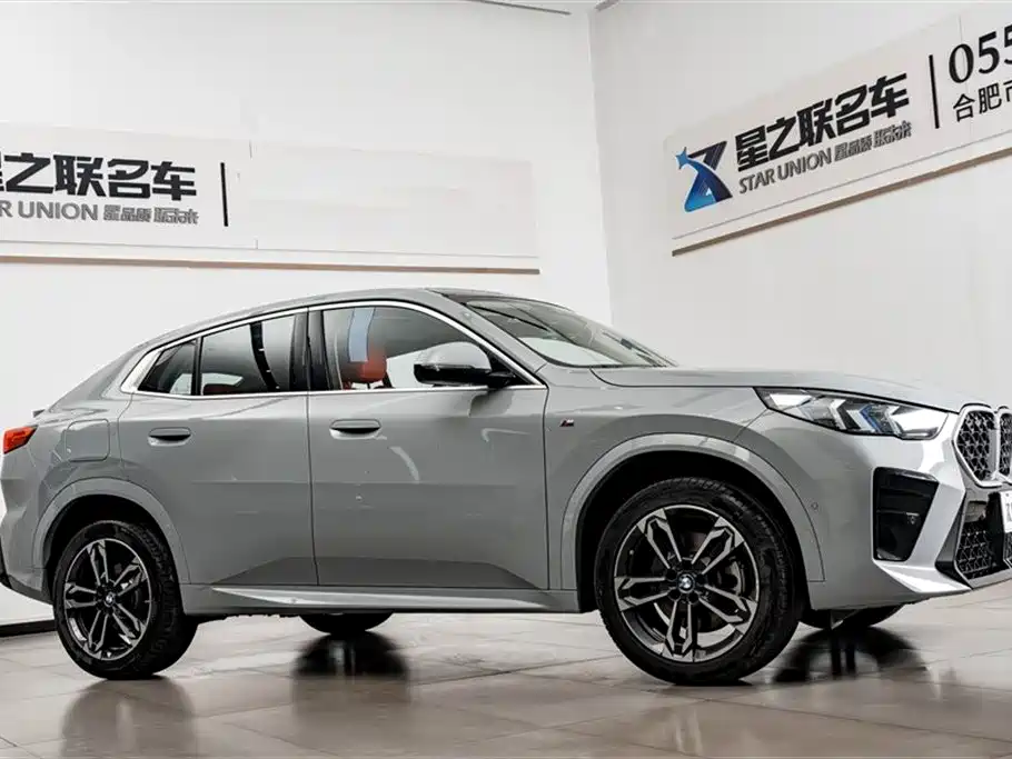 BMW X2 (Import) 2024 sDrive25i M Sport Package фото 6