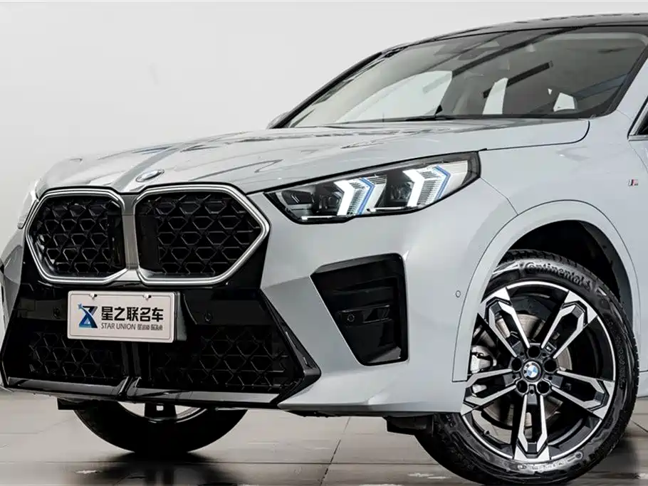 BMW X2 (Import) 2024 sDrive25i M Sport Package фото 2