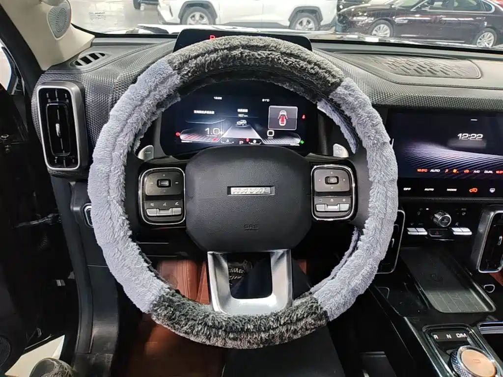 Haval Big Dog 2021 1.5T DCT 2WD Border Collie Edition фото 11