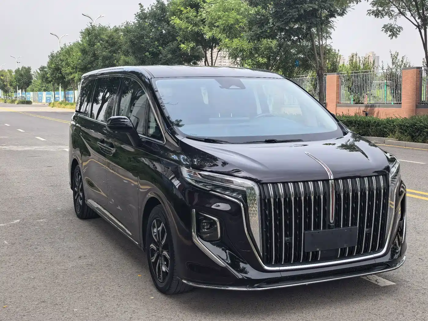Hongqi HQ9 2023 2023 2.0T Smart Connect Flag Smooth Edition