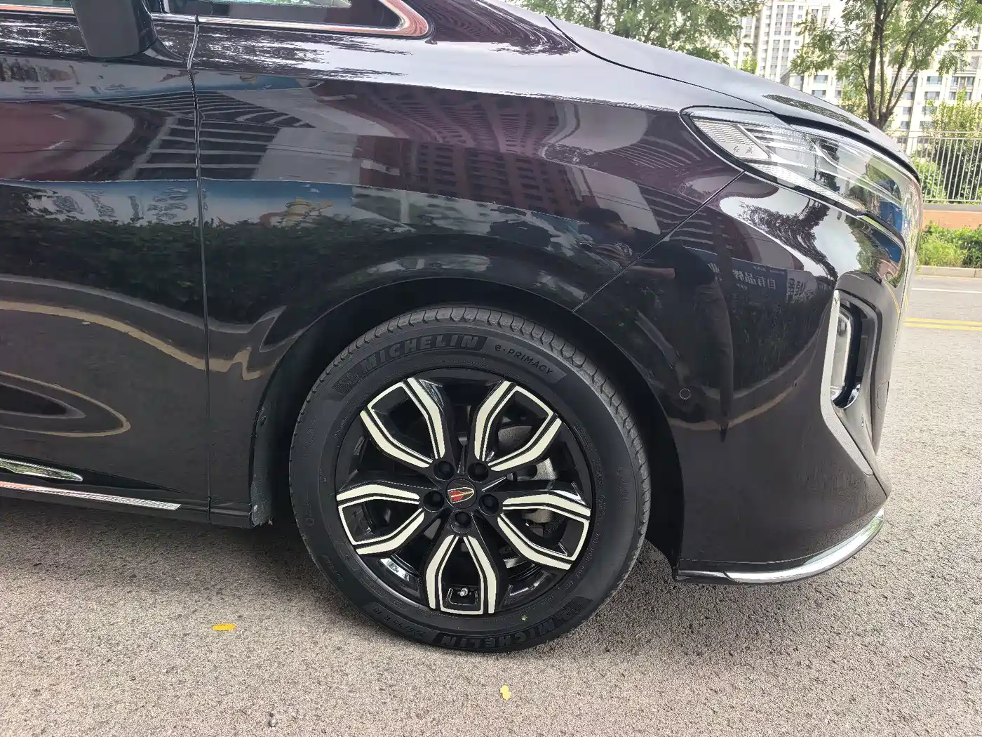 Hongqi HQ9 2023 2023 2.0T Smart Connect Flag Smooth Edition