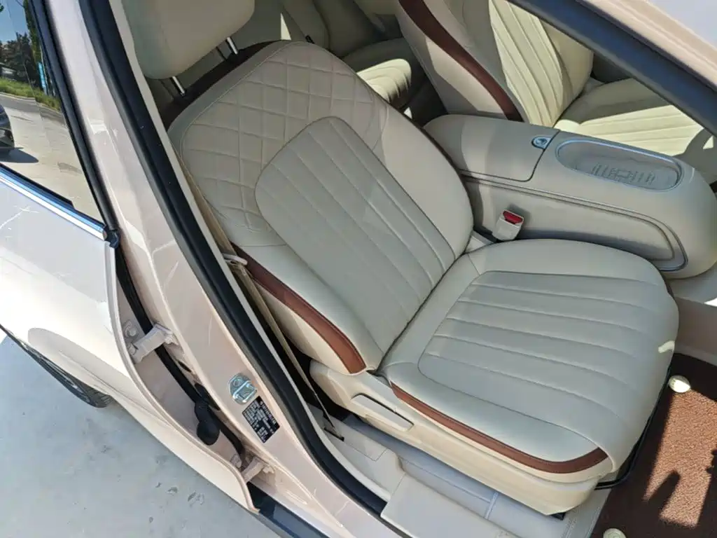 Ora Good Cat 2025 2024 501km Luxury
