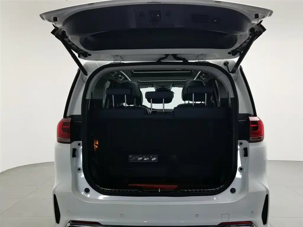 GAC Trumpchi Trumpchi M8 2020 Pilot 390T Ultimate Edition фото 16