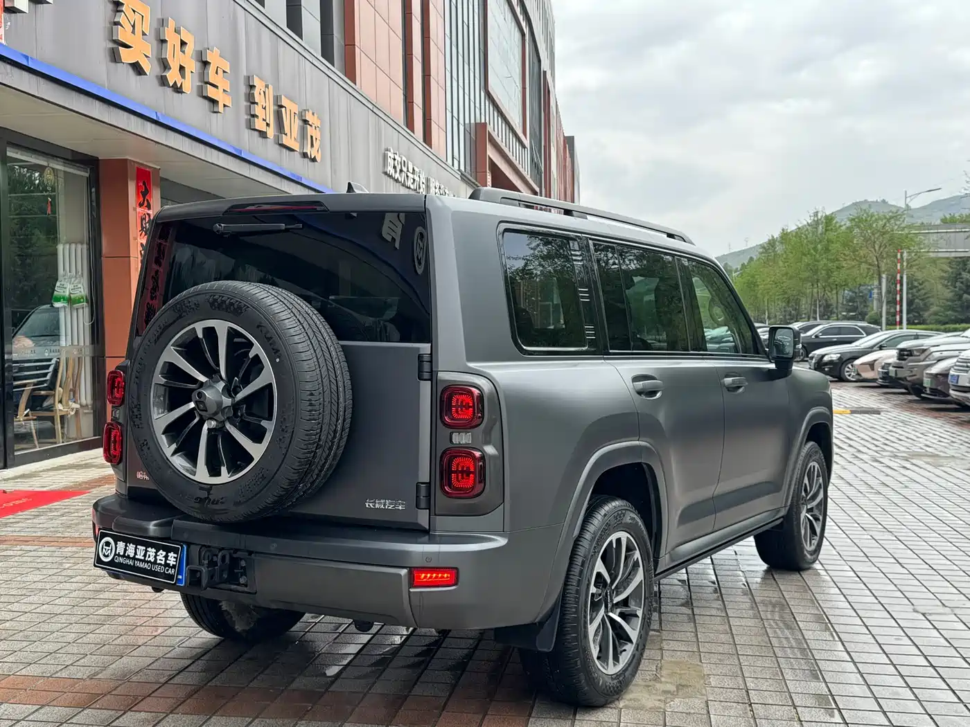 HAVAL H9