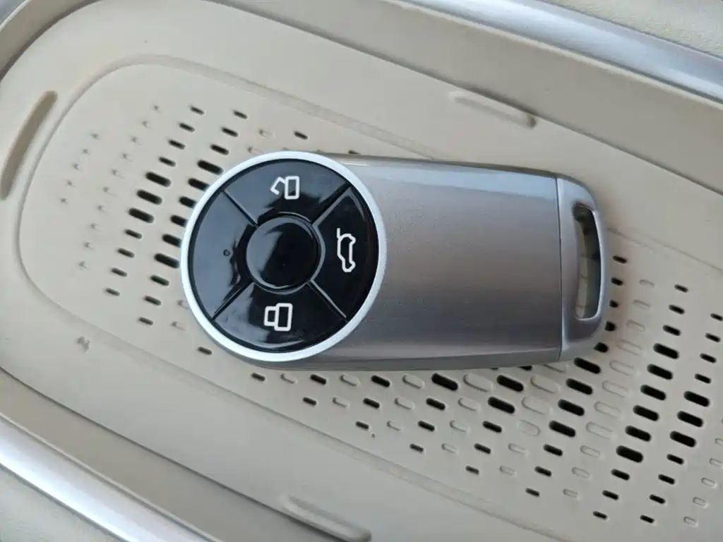 Ora Good Cat 2025 2024 501km Luxury