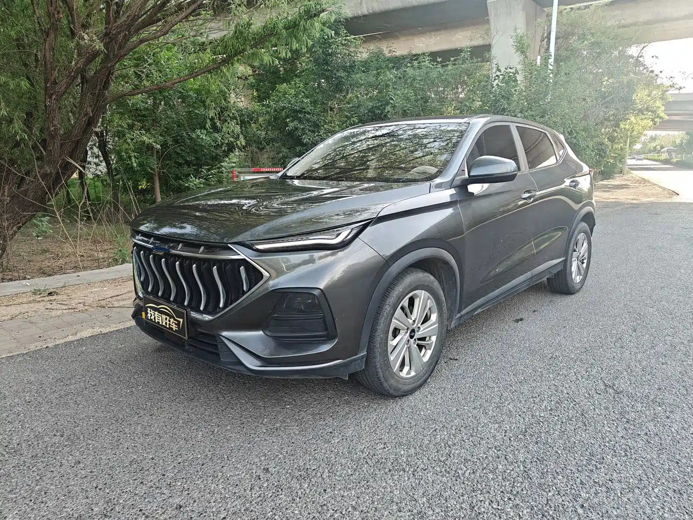 Photo 1 - Changan Oshan Changan Oushang X5