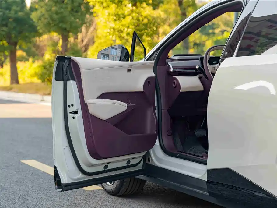 ZEEKR EXTREME KRYPTON X