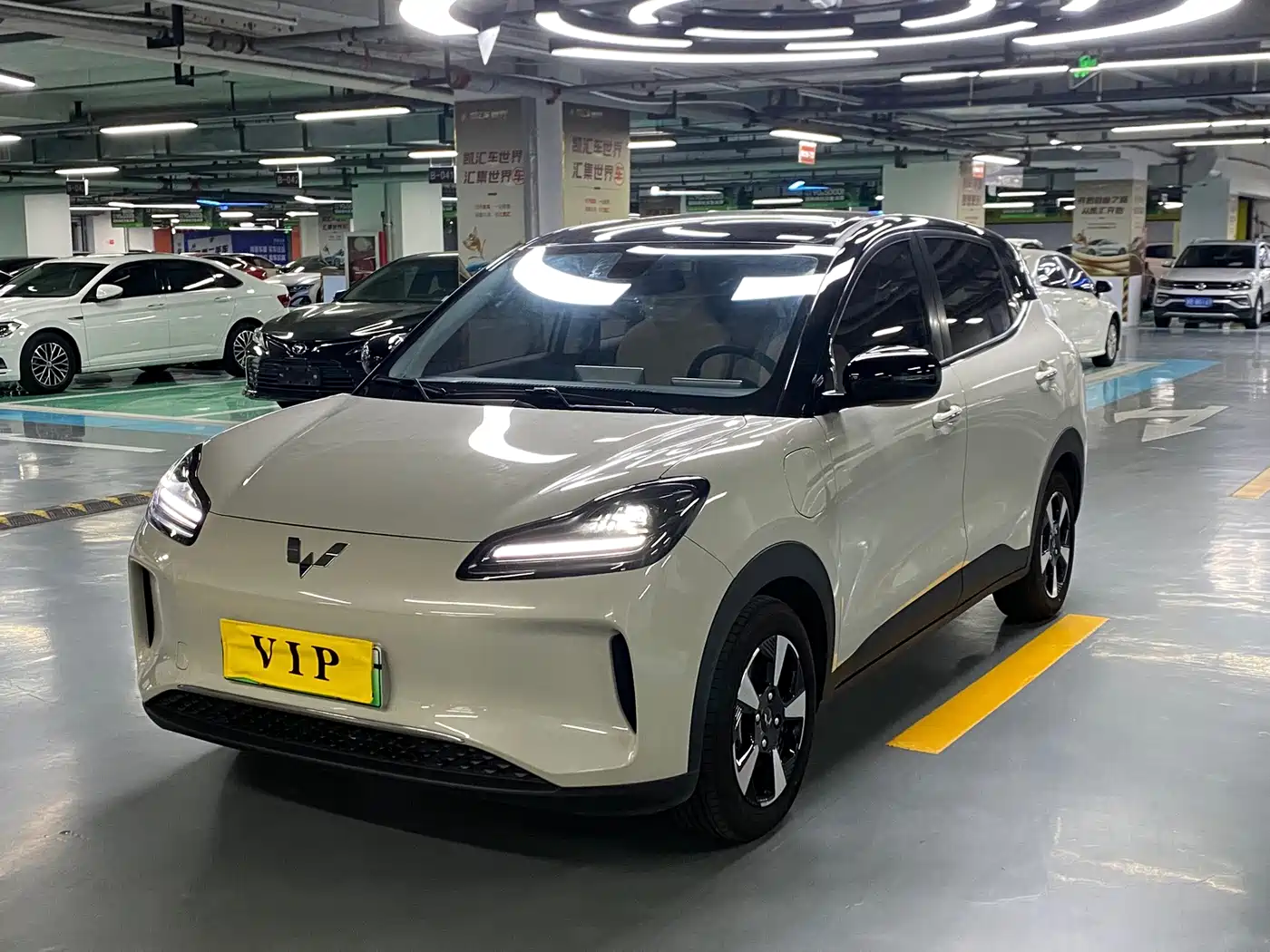 Wuling Motors Wuling Binguo PLUS 2025 2024 Model 330km 5-Seater