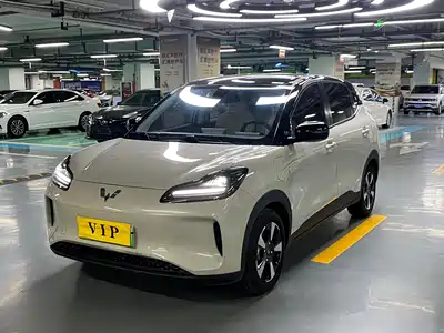 Wuling Bingo Plus