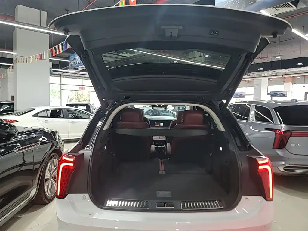 Hongqi E-HS9 2022 660km Qi Chang Edition (6-seater) фото 19