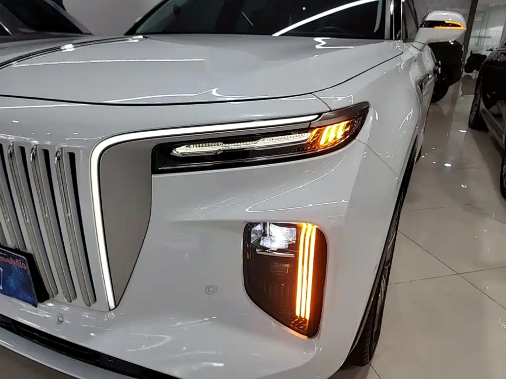 Hongqi E-HS9 2022 660km Qi Chang Edition (6-seater) фото 24