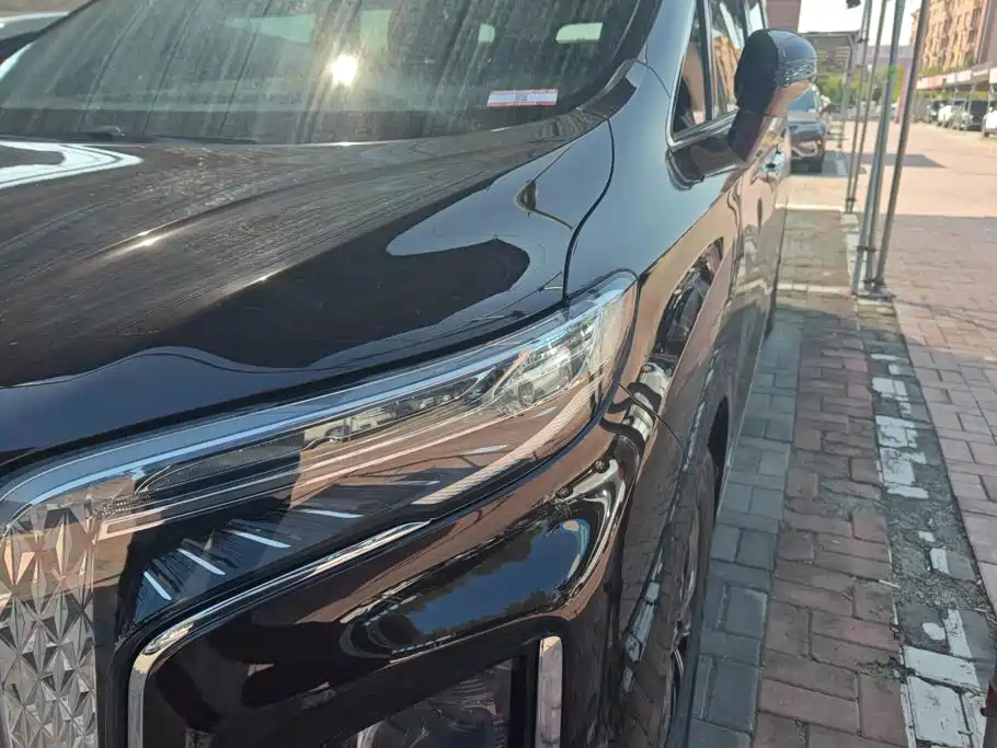 Hongqi HQ9 PHEV 2024 2024 Model 2.0T AWD Luxury Edition