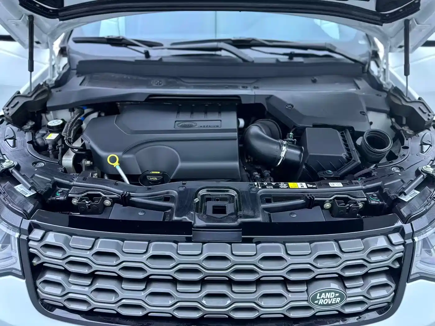 Land Rover Discovery Sport 2022 Model Facelift 249PS R-Dynamic S Performance Edition 5-seater фото 25