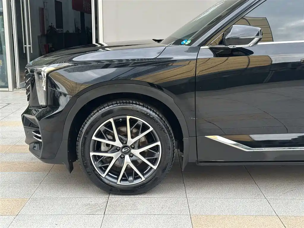 GAC Trumpchi Trumpchi GS8 2022 Pilot Series 2.0TGDI 2WD Luxury Smart Connect Edition (7-Seater) фото 19