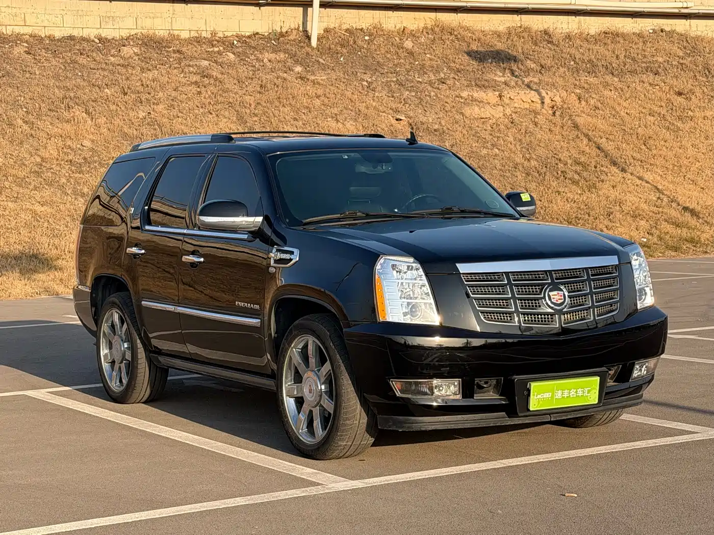Cadillac Escalade 2010 6.0 Hybrid фото 2