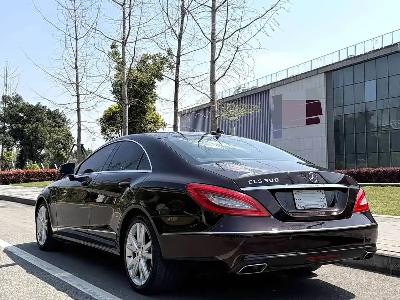 Mercedes-Benz CLS 2012 CLS 300 CGI фото 13