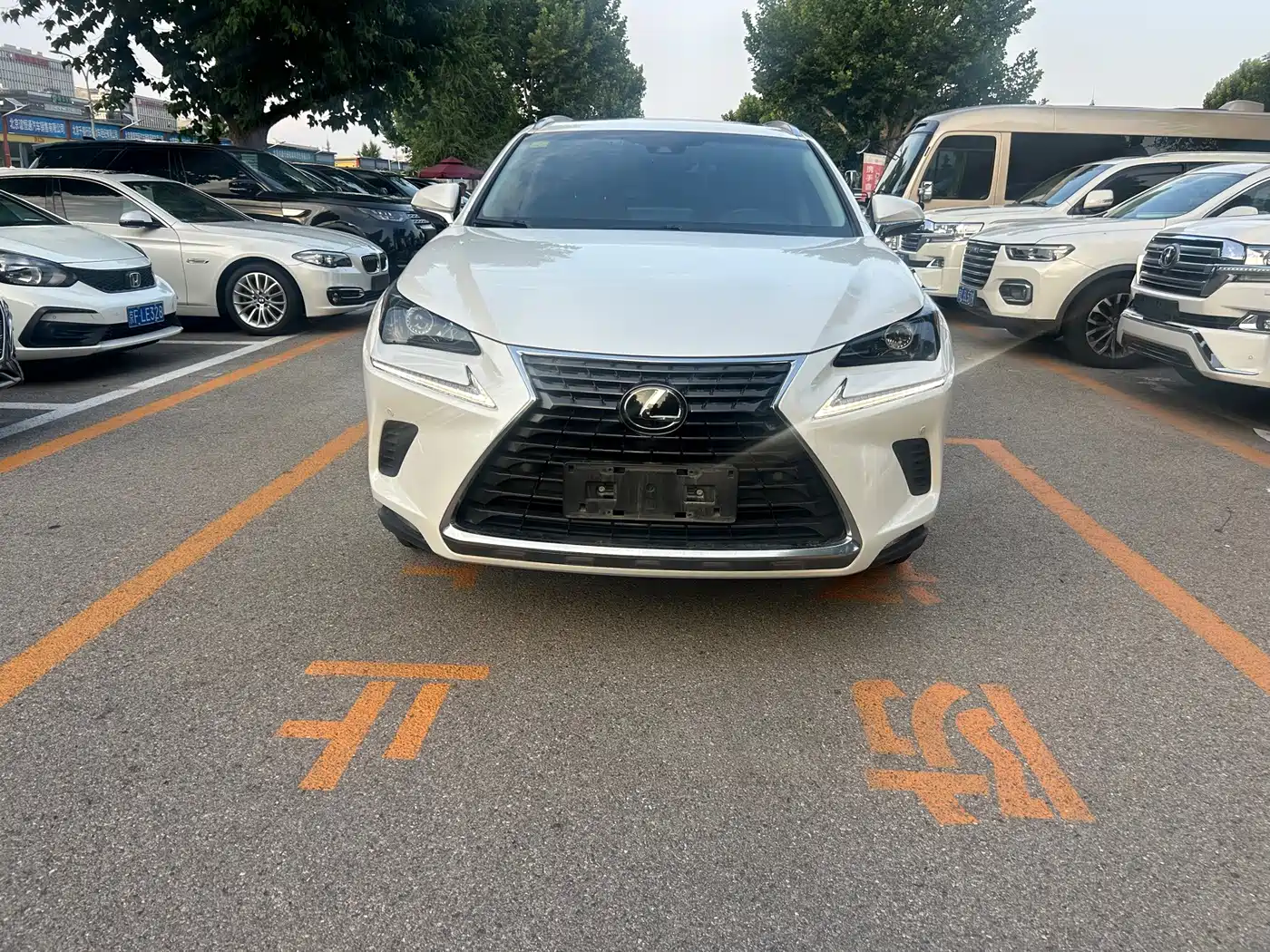 Фото 2 - Lexus NX