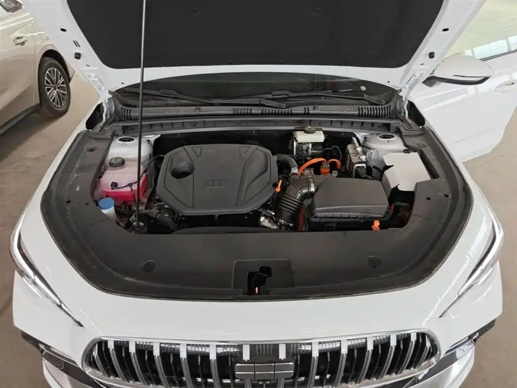 Geely Galaxy Galaxy Stellar 6 2025 Model 125km Free Edition фото 20