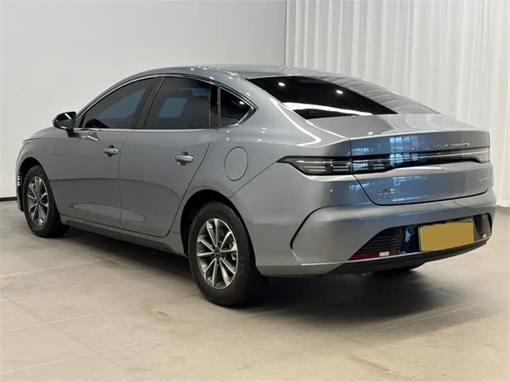 BYD Destroyer 05 2024 Glory Edition DM-i 55KM Luxury фото 4