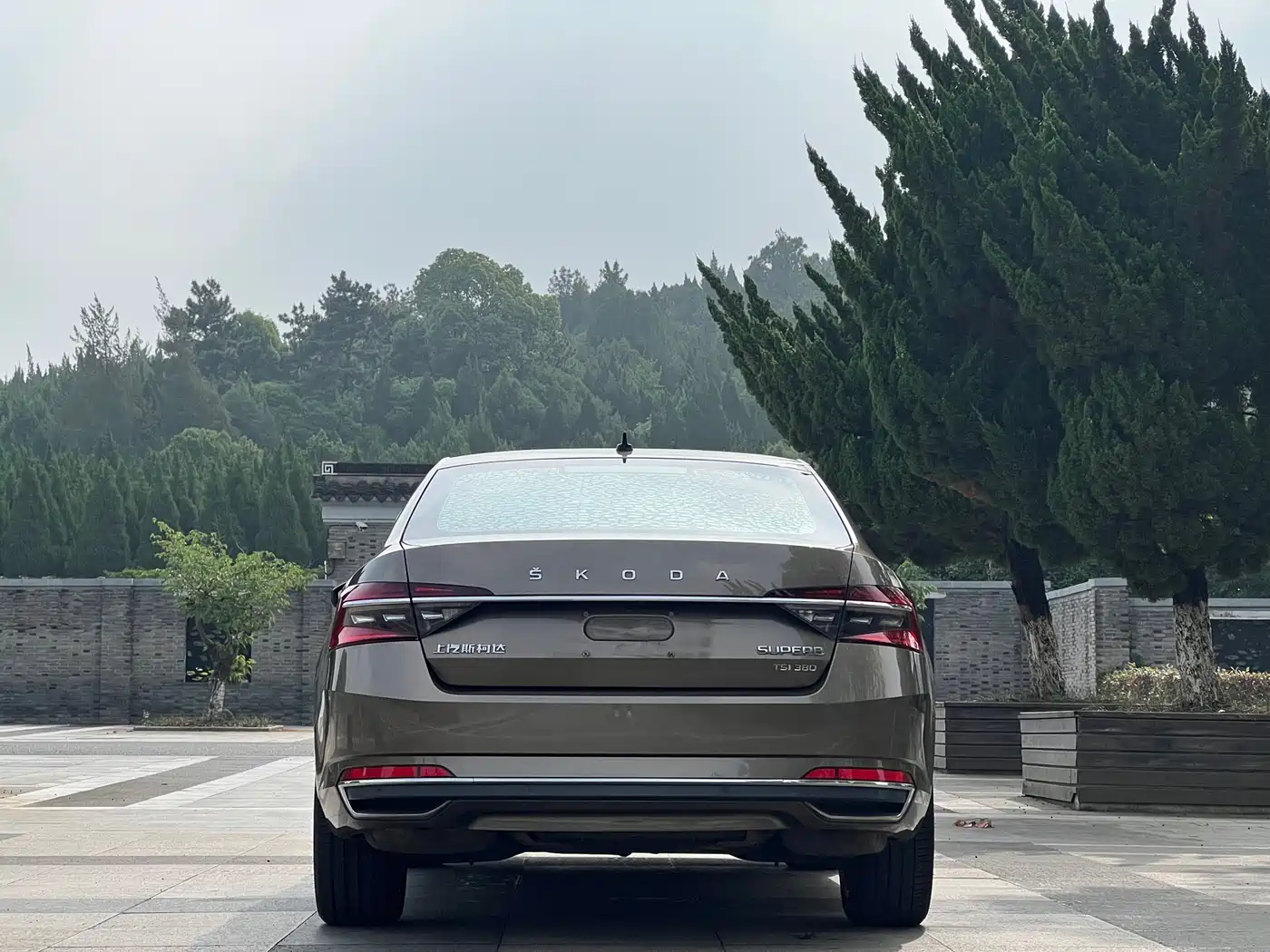 Škoda Superb 2019 TSI380 DSG Flagship Edition фото 17