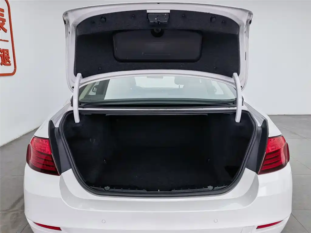 BMW 5 Series (Import) 2015 520i Elegance фото 16