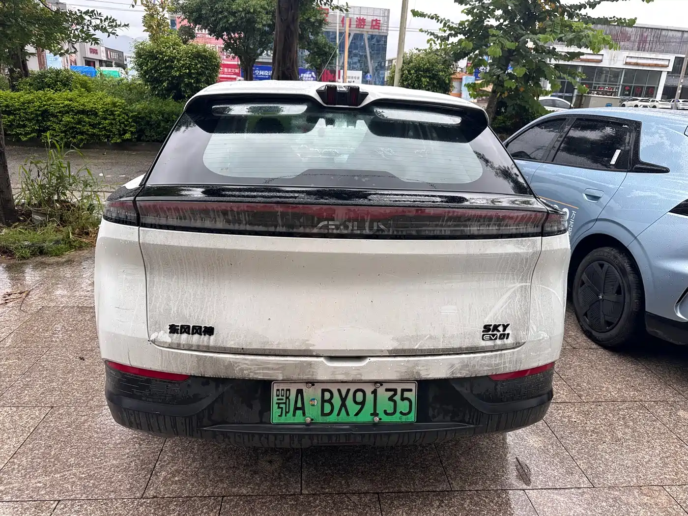 Dongfeng Aeolus SKY EV01 2024 2024 445km PRO