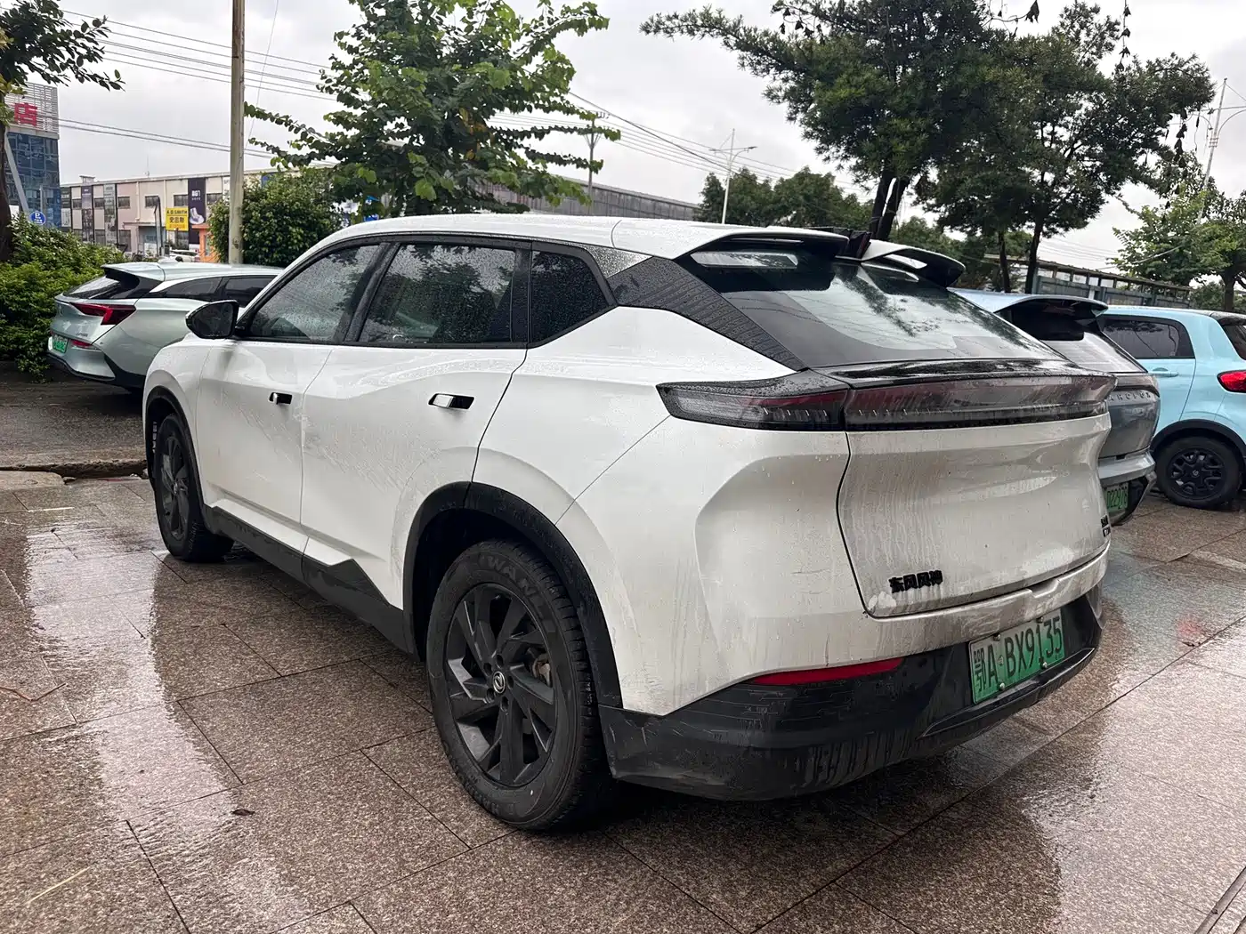 Dongfeng Aeolus SKY EV01 2024 2024 445km PRO
