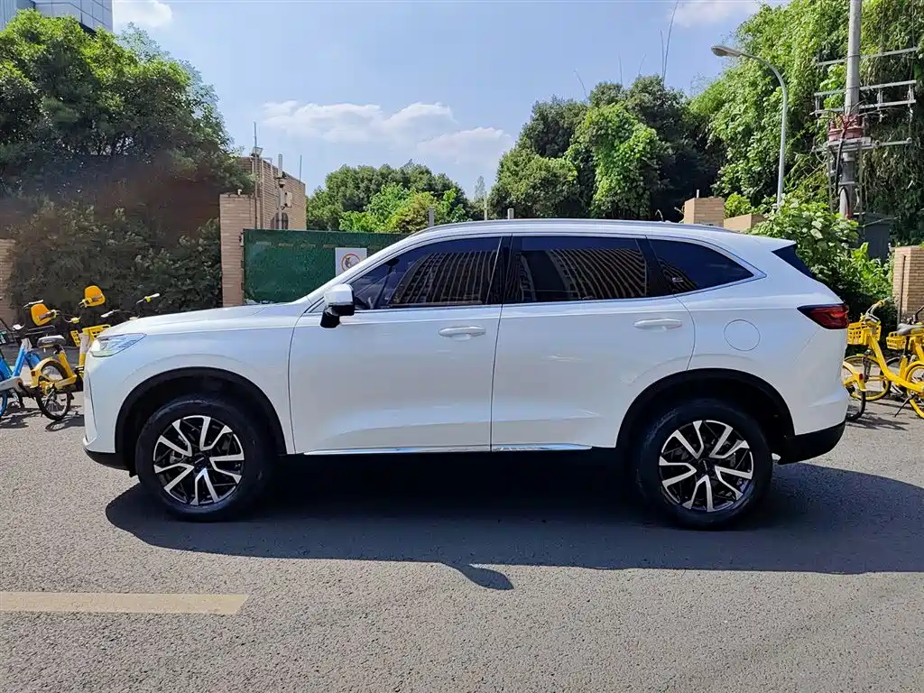 Haval H6 2022 3rd Gen 1.5T Auto 2WD Max фото 3