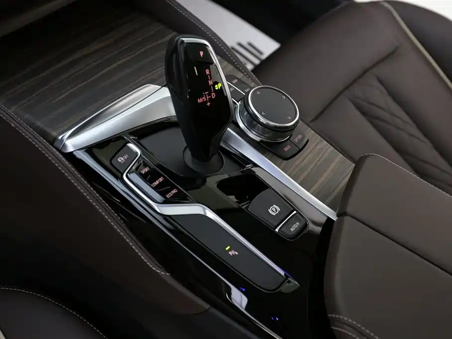 BMW 5 Series 2018 530Li Leading Luxury Package фото 13
