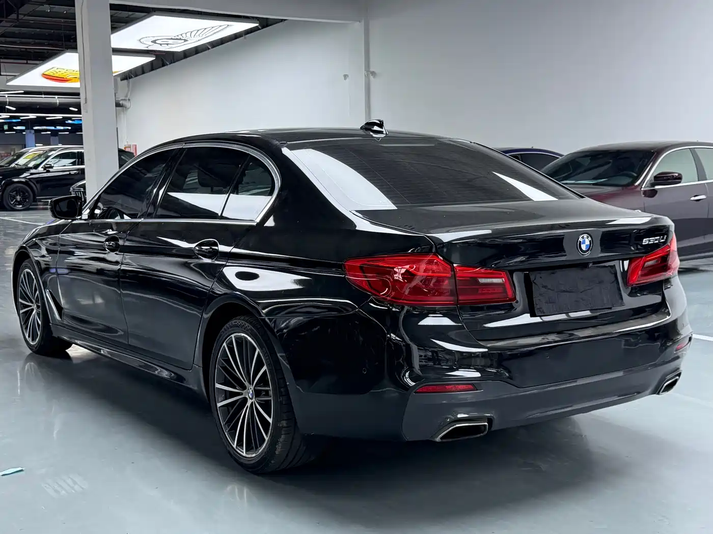 BMW 5 Series 2020 530Li Leading M Sport Package фото 22