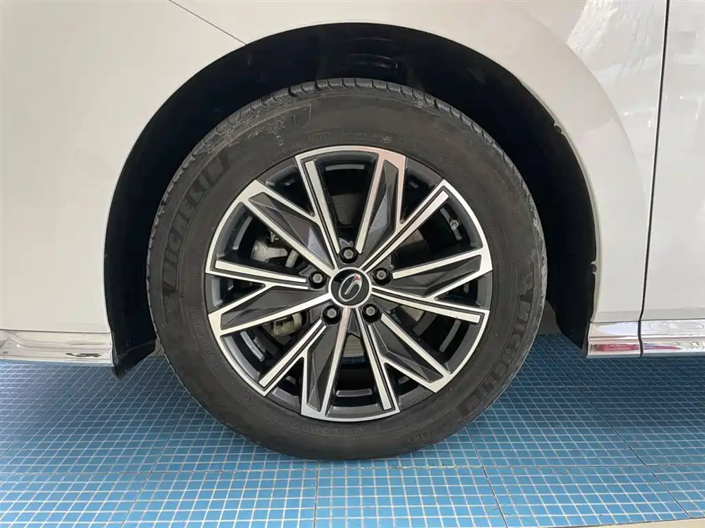 GAC Trumpchi Trumpchi M8 2024 Master Series 400T Ultimate Edition фото 31
