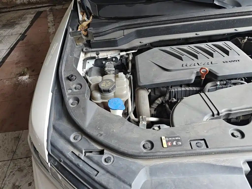 Haval H6 2020 1.5GDIT Automatic Platinum Champion Edition фото 23
