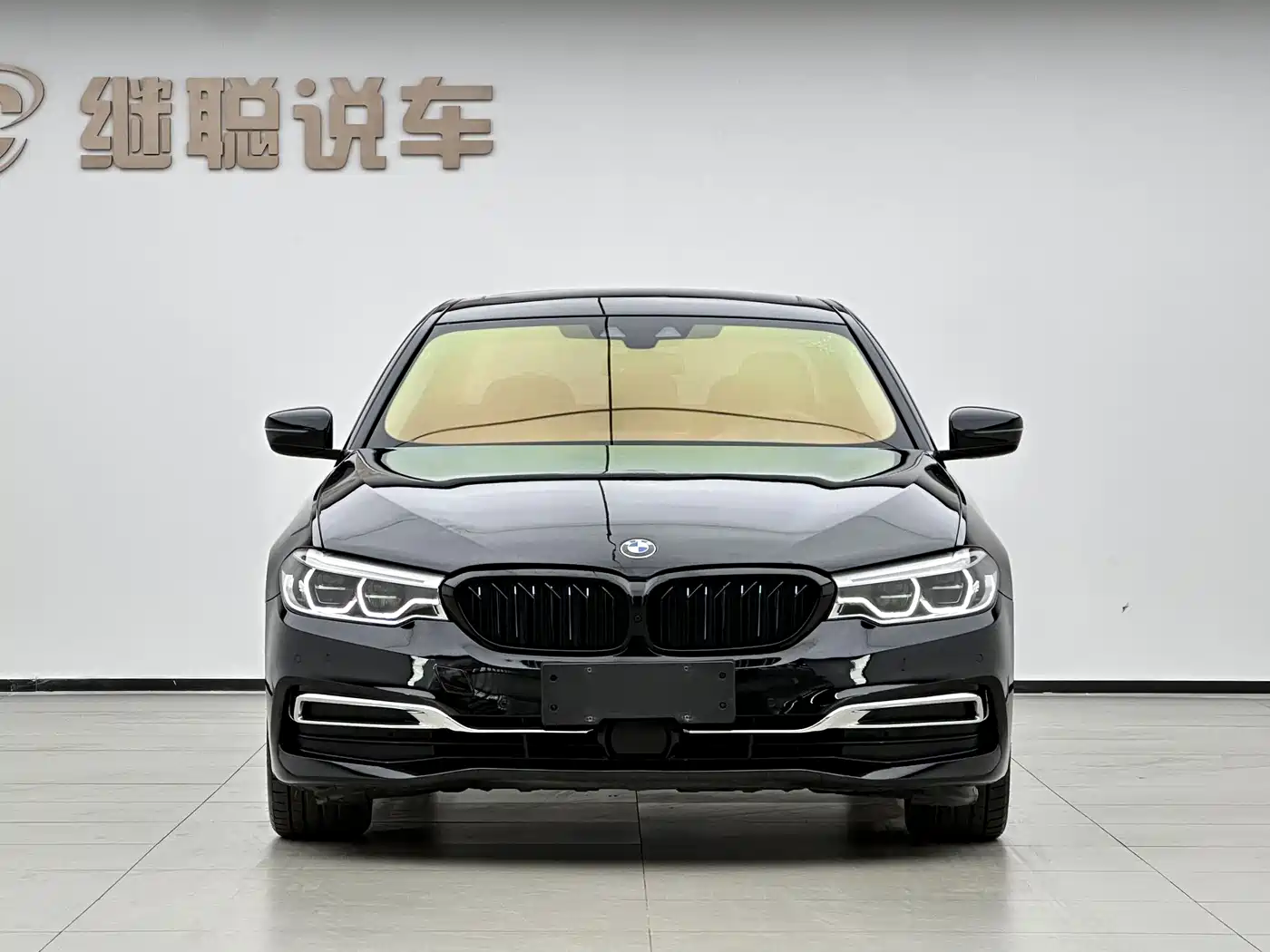 BMW 5 Series New Energy 2019 Facelift 530Le Pioneer Edition фото 2
