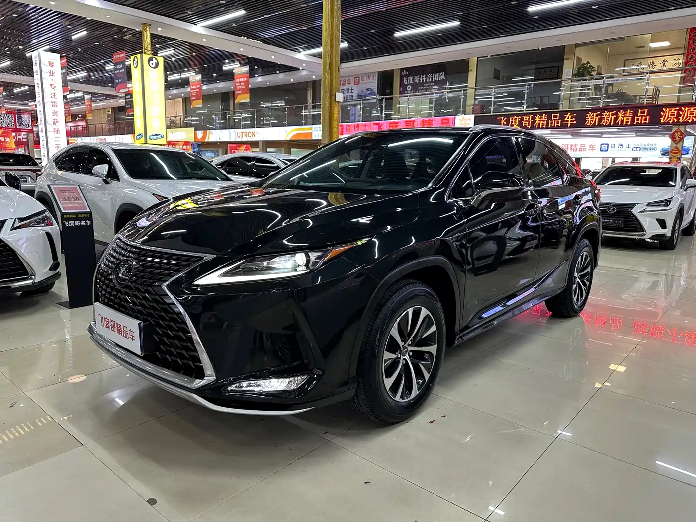 LEXUS RX