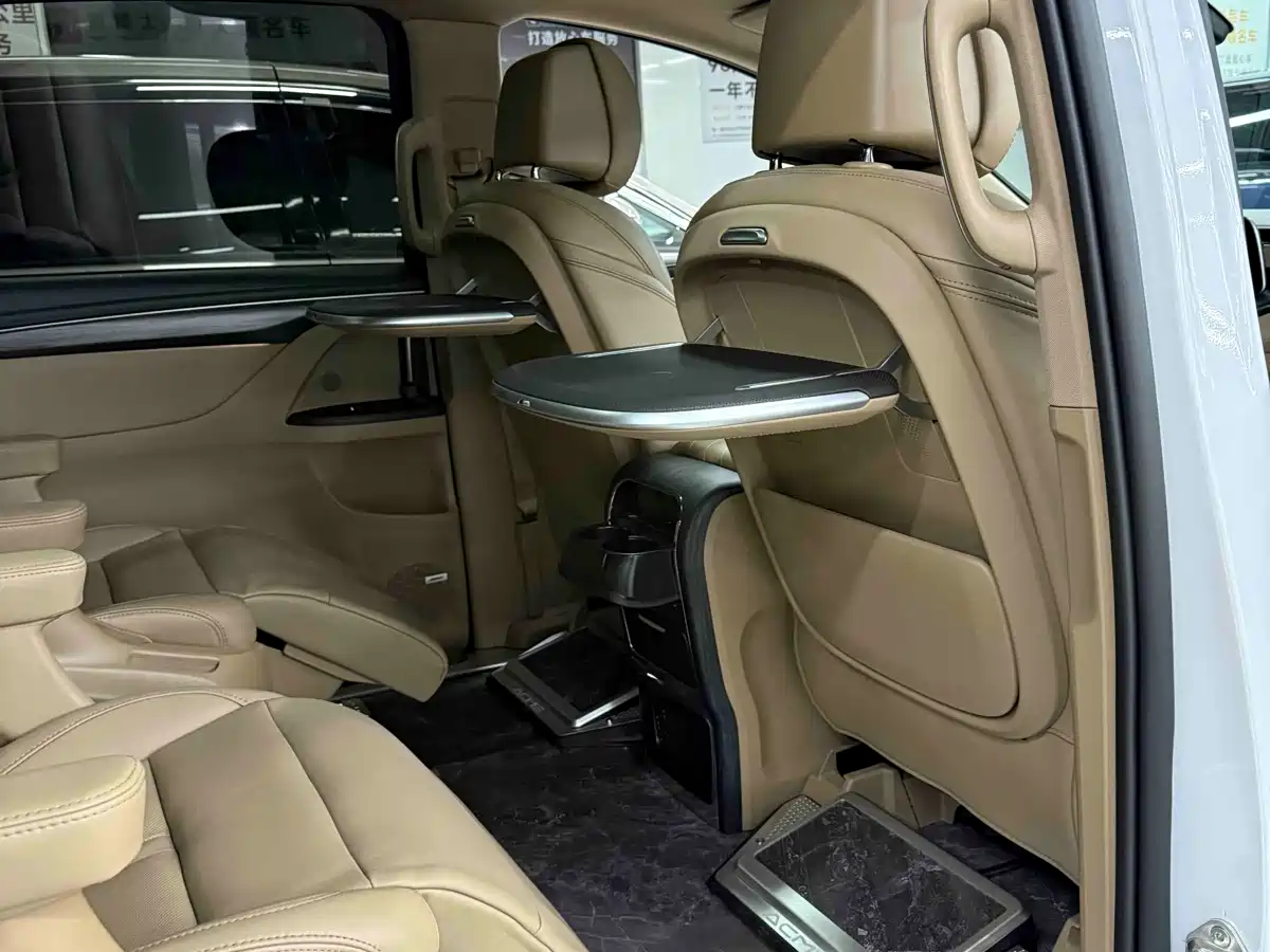 Buick GL8 2021 ES Landlord 653T Flagship фото 12