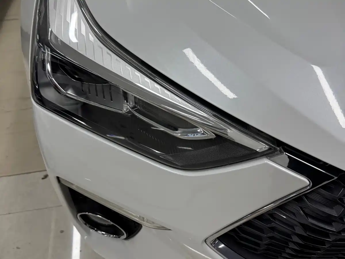 Haval H6 Coupe 2018 Red Label 1.5T Auto 2WD Ultra Luxury фото 4