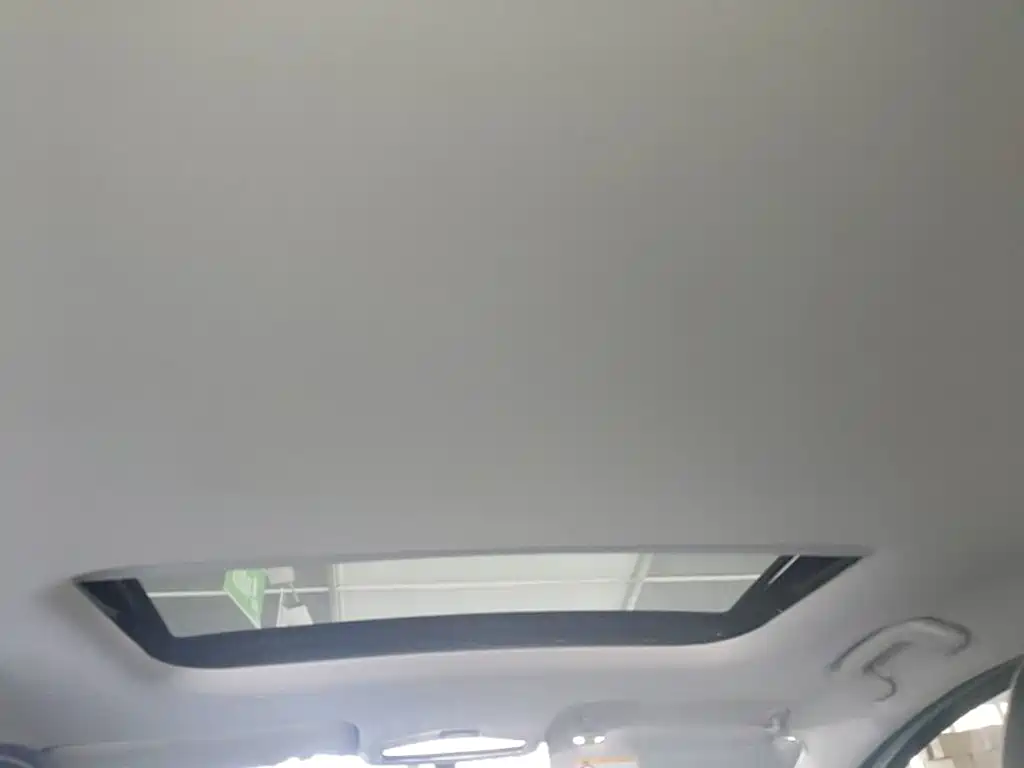 Geely Geometry E Firefly 2022 2022 401KM Delicate Tiger 4-seater