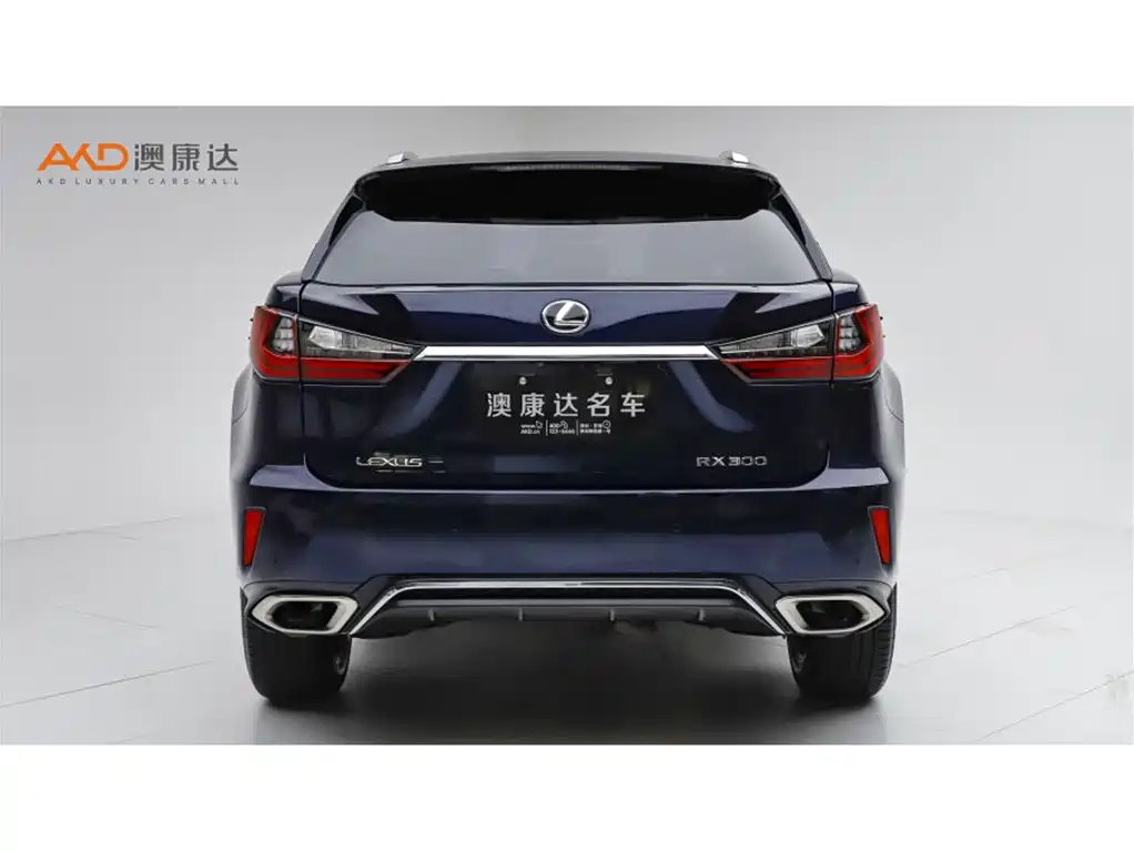 Фото 4 - Lexus RX