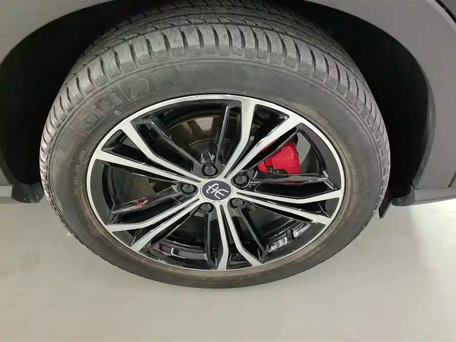 BYD Song PLUS 2020 1.5T Automatic Flagship фото 6