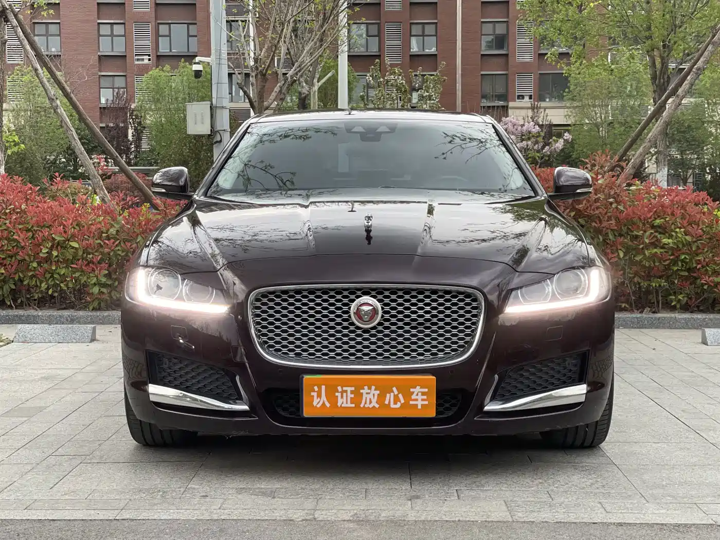 Фото 2 - Jaguar XFL