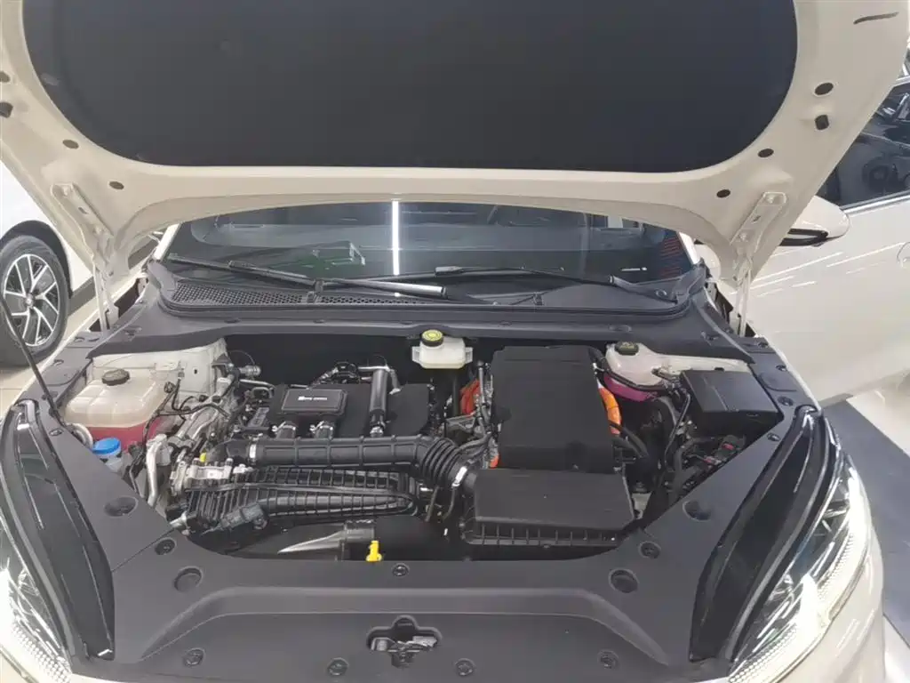 BYD Seal 06 New Energy 2024 DM-i 120KM Honor фото 20