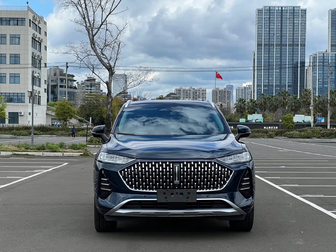 WEI PAI WEI BRAND MOCHA