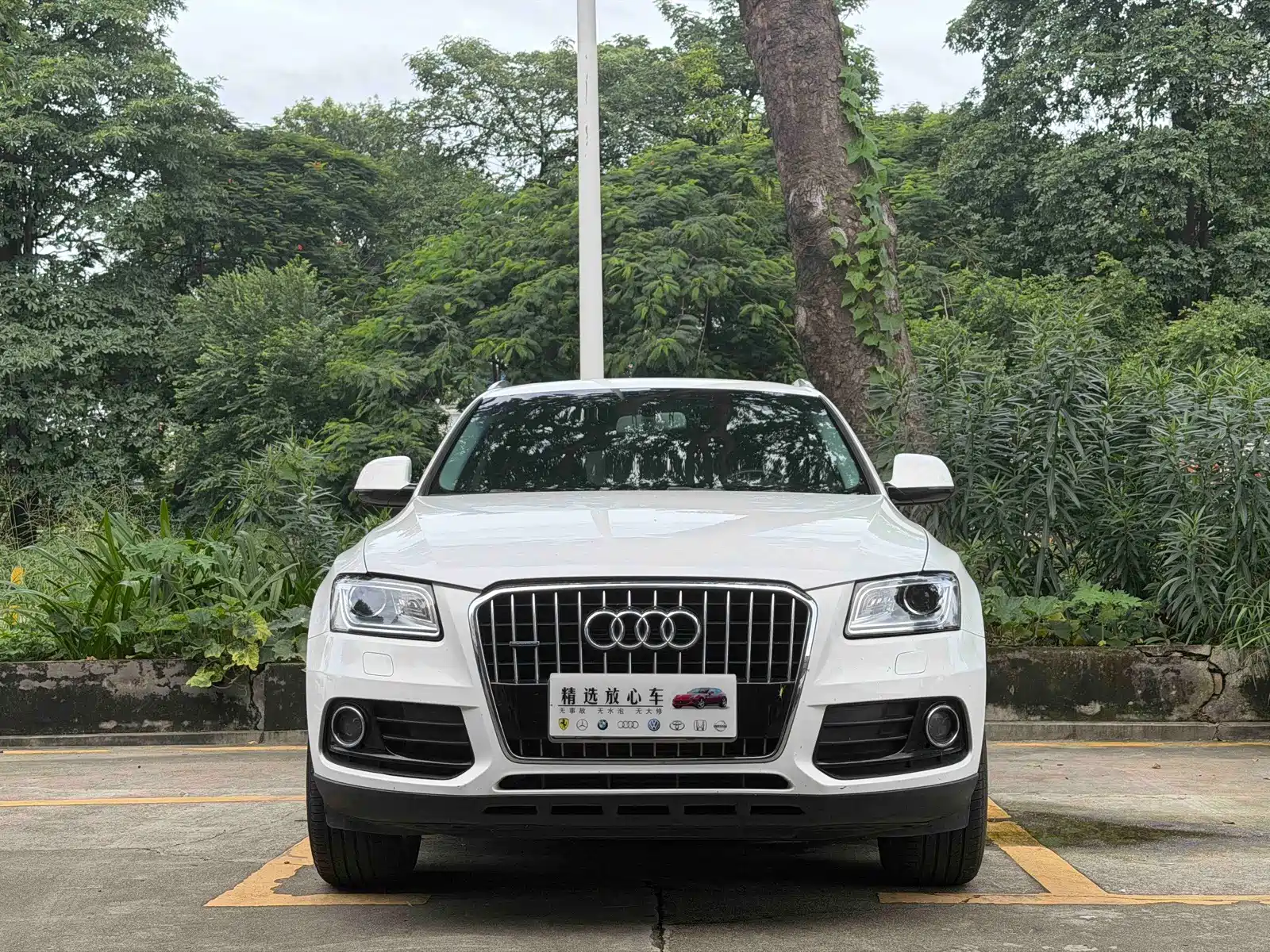 Фото 2 - Audi Q5