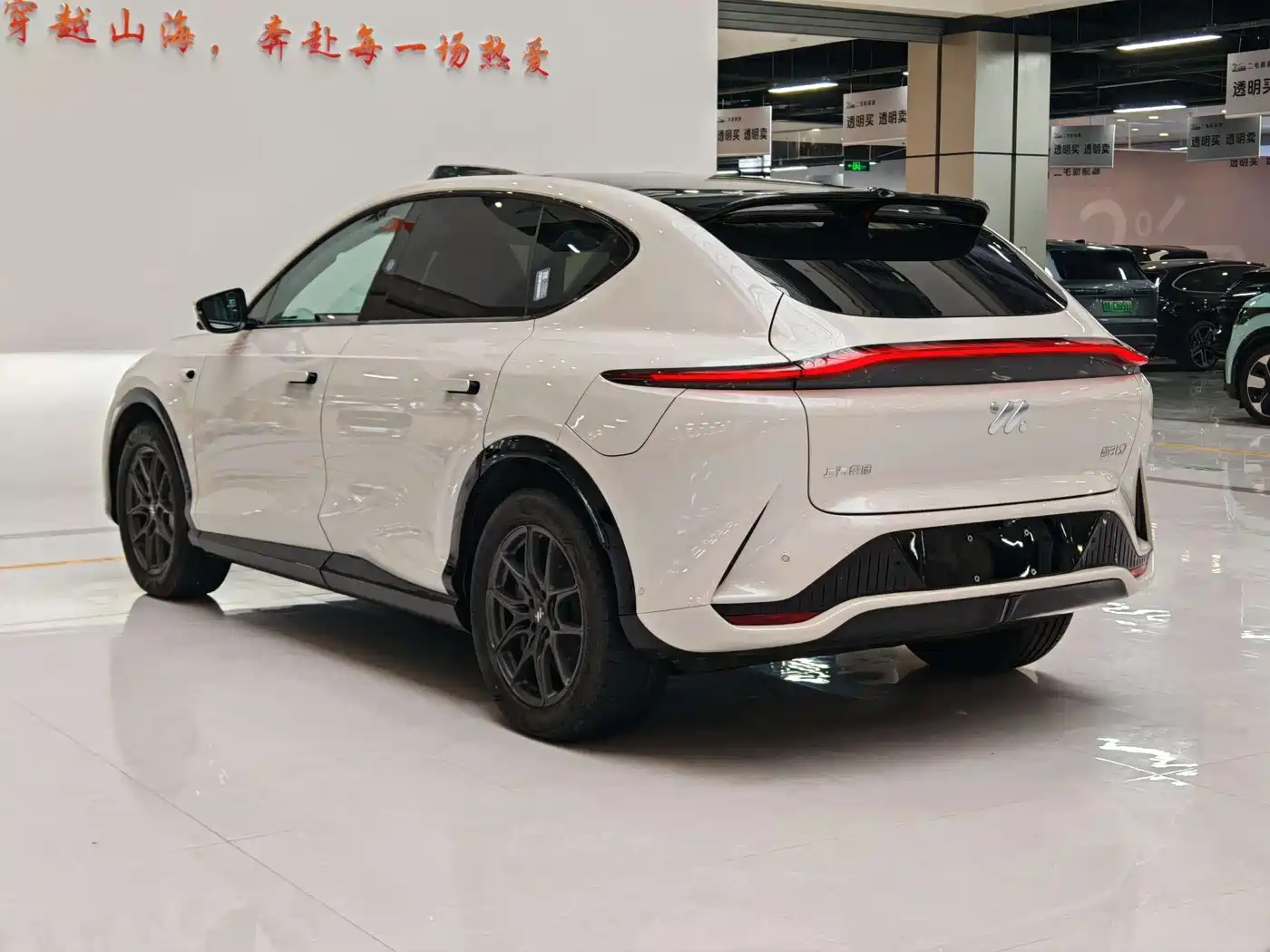 ZHIJI AUTOMOBILE ZHIJI LS7