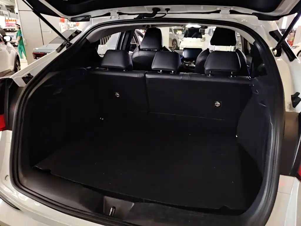 Toyota C-HR 2022 2021 2.0L Luxury Edition