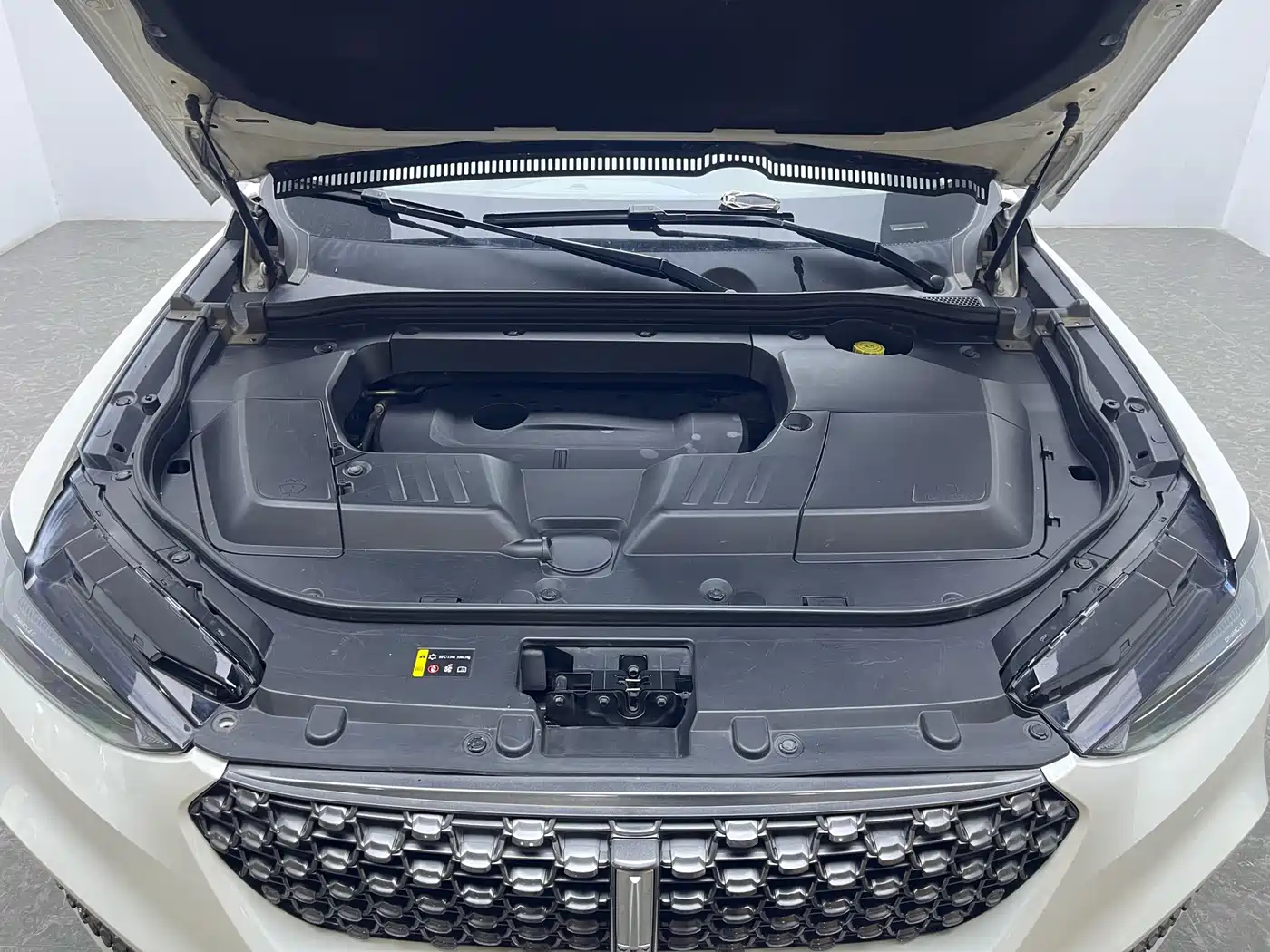 WEI PAI WEI BRAND VV6